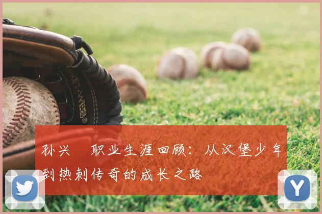 孙兴慜职业生涯回顾：从汉堡少年到热刺传奇的成长之路
