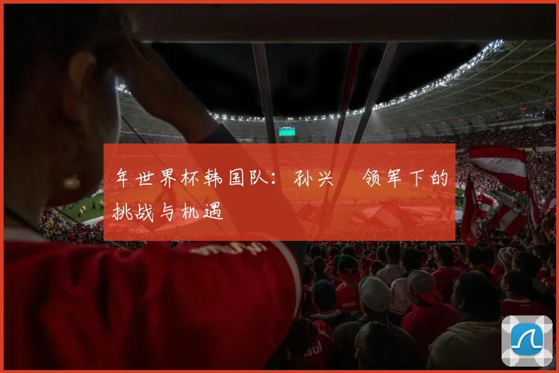 年世界杯韩国队：孙兴慜领军下的挑战与机遇