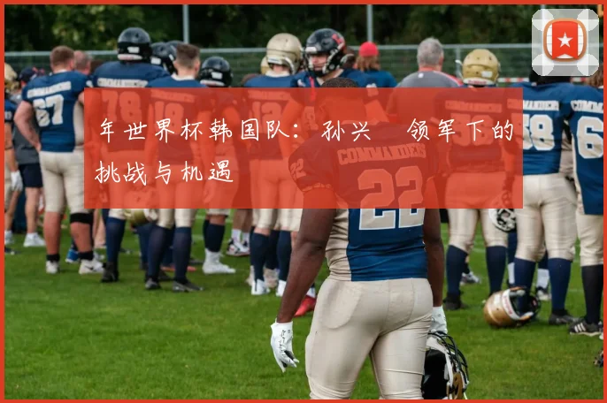 年世界杯韩国队：孙兴慜领军下的挑战与机遇